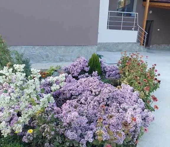 квартири централ Dolna Mitropoliya